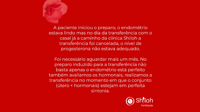 O DNA mitocondrial é peça-chave na saúde reprodutiva — alerta Oluwatosin Tolulope Ajidahun.